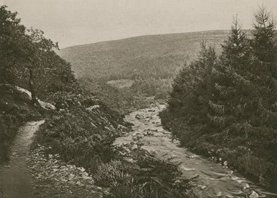 Ścieżka przez Bagworthy Water, Doone Valley autorstwa English Photographer