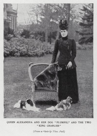 Królowa Aleksandra z psem Plumpie i jej dwoma spanielami King Charles (zdjęcie czarno-białe) autorstwa English Photographer