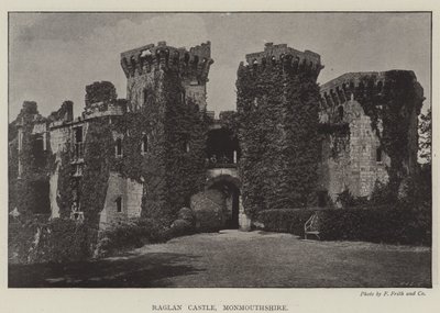 Zamek Raglan, Monmouthshire autorstwa English Photographer