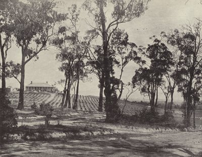 Scena na Gembrook Road, Victoria autorstwa English Photographer