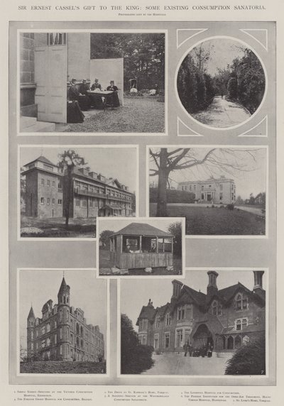 Dar Sir Ernesta Cassela dla króla, niektóre istniejące sanatoria konsumpcyjne autorstwa English Photographer
