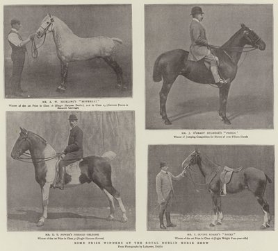 Niektórzy zdobywcy nagród na Royal Dublin Horse Show autorstwa English Photographer