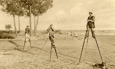 Szczudła (zdjęcie czarno-białe) autorstwa English Photographer