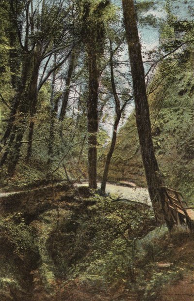 Kamienny most w Shanklin Chine autorstwa English Photographer