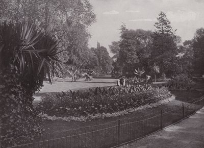 Ogrody subtropikalne, Park Battersea autorstwa English Photographer