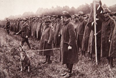 Recenzja Anzac na Salisbury Plain: australijska maskotka, ilustracja z The Illustrated War News, 27 września 1916 (zdjęcie w sepii) autorstwa English Photographer