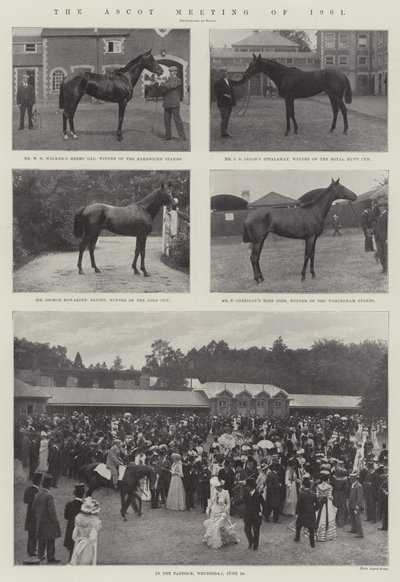 Spotkanie Ascot w 1901 r. autorstwa English Photographer