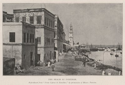Plaża na Zanzibarze autorstwa English Photographer