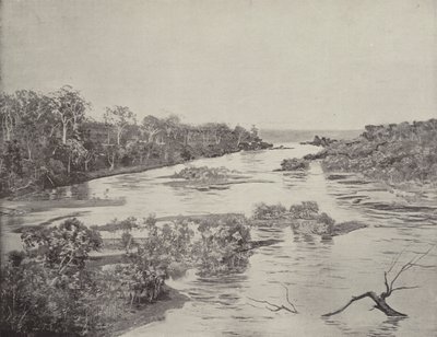 Rzeka Boyne, Queensland autorstwa English Photographer