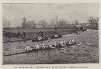 The Cambridge Crew ćwiczy na Oxford i Cambridge Boat-Race autorstwa English Photographer