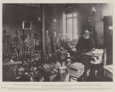 Śmierć Profesora Virchowa, słynnego naukowca w jego laboratorium w Instytucie Patologicznym w Berlinie autorstwa English Photographer