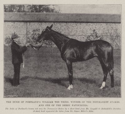 Książę Portlands Wilhelm III, zdobywca nagród Newmarket i jeden z faworytów Derby autorstwa English Photographer