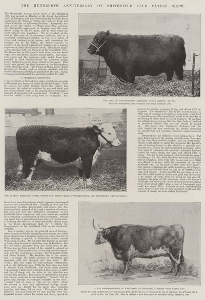 Setna rocznica Smithfield Club Cattle Show autorstwa English Photographer