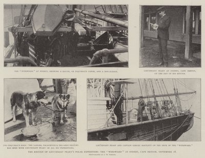 The Return of Lieutenant Pearys Polar Expedition, Windward w Sydney, Cape Breton, 18 września autorstwa English Photographer