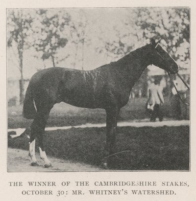 Zwycięzca Cambridgeshire Stakes, 30 października, pan Whitneys Watershed autorstwa English Photographer