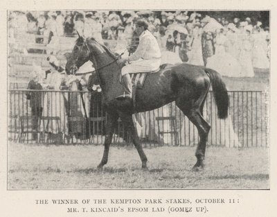 Zwycięzca Kempton Park Stakes, 11 października, pan T Kincaids Epsom Lad (Gomez w górę) autorstwa English Photographer