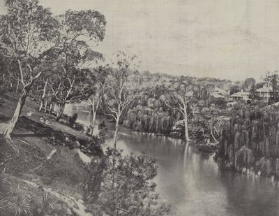 Yarra w Studley Park autorstwa English Photographer