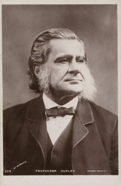 Thomas Henry Huxley (1825-1895, angielski biolog) autorstwa English Photographer
