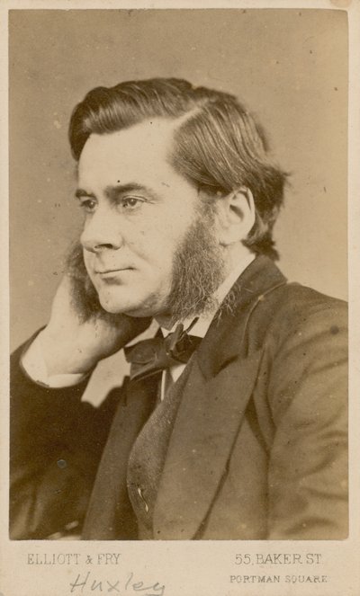 Thomas Henry Huxley autorstwa English Photographer
