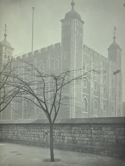 Tower of London, Tower Hill: Biała Wieża, 1899 autorstwa English Photographer