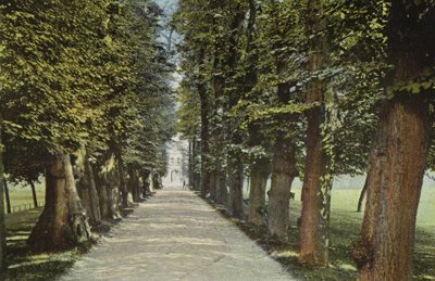 Trinity College, Aleja autorstwa English Photographer