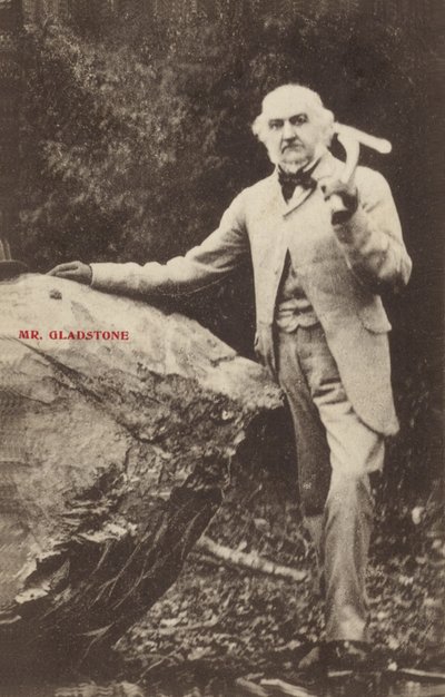 William Ewart Gladstone autorstwa English Photographer