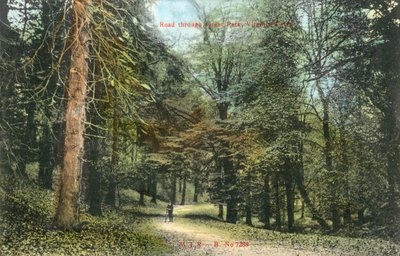 Windsor Great Park, Virginia Water (kolorowe zdjęcie) autorstwa English Photographer