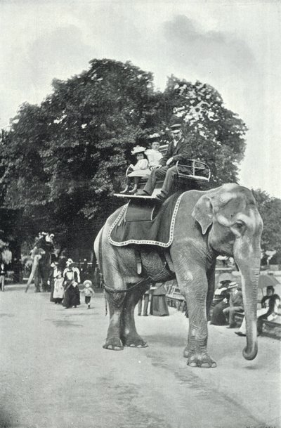 Ogrody zoologiczne, Dzieci jeżdżące na słoniach (zdjęcie czarno-białe) autorstwa English Photographer