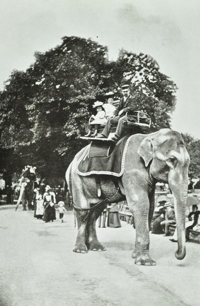 Ogrody Zoologiczne, Regents Park: przejażdżki na słoniach, Londyn, ok. 1895 r. autorstwa English Photographer