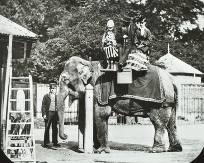 Ogrody Zoologiczne, Regents Park: słoń z dorosłymi i dziećmi na przejażdżce, londyńskie zoo, 1894 autorstwa English Photographer