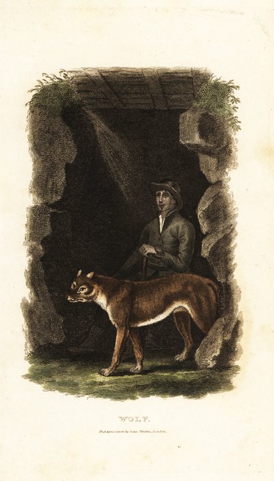 XVIII-wieczny angielski dżentelmen i jego oswojony wilk Canis lupus przy wejściu do jaskini autorstwa English School
