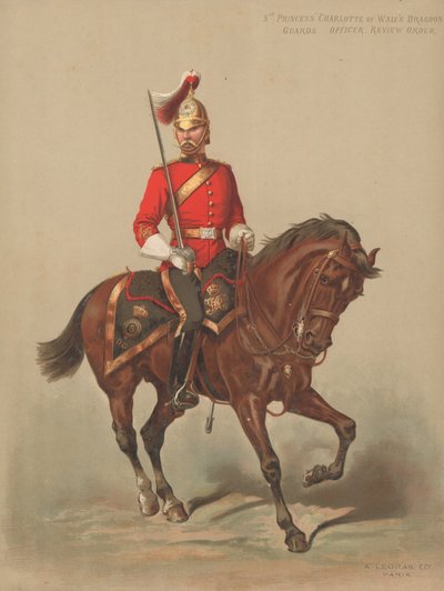 5th Princess Charlotte of Wales Dragon Guards, Oficer, Rozkaz Rewizyjny autorstwa English School