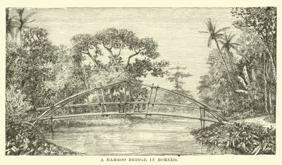 Bambusowy most na Borneo autorstwa English School