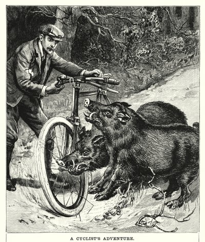 Przygoda rowerzysty (grafika) autorstwa English School