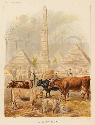 A Dairy Show (kolorowa litografia) autorstwa English School