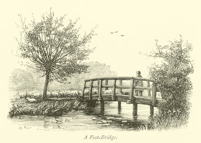 Kładka dla pieszych autorstwa English School
