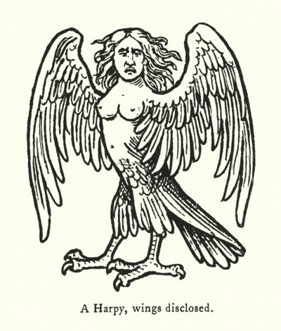 Harpia ze skrzydłami odsłoniętymi (rycina) autorstwa English School