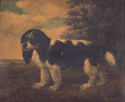 King Charles Spaniel w krajobrazie autorstwa English School