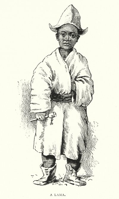 Lama (rycina) autorstwa English School