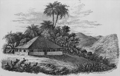 Dom plantatora w Brazylii (litografia) autorstwa English School