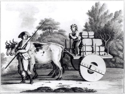 Portugalska farma, z A General View of the State of Portugal autorstwa Jamesa Murphy