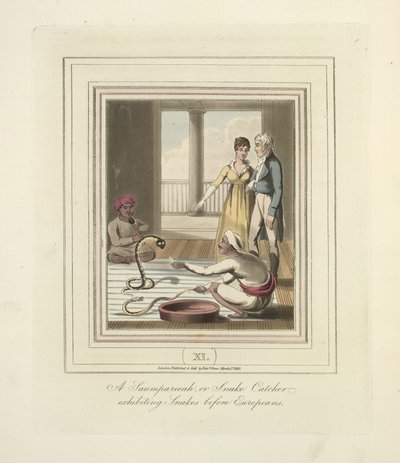 Saumpareeah lub Snake Catcher przedstawiający węże przed Europejczykami, ok. 1824 (kolor lito) autorstwa English School