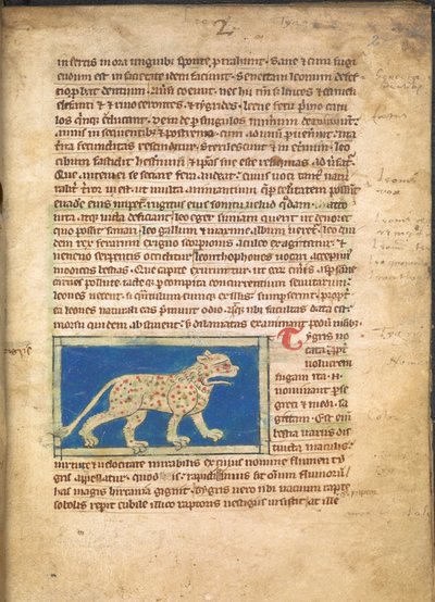 Tygrys, ze Sloane 3544, f.2 (pergamin) autorstwa English School