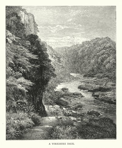 Yorkshire Dale (grawerunek) autorstwa English School