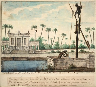 Ogród kolonialny z nawadnianiem, ok. 1787 (akwarela na papierze) autorstwa English School
