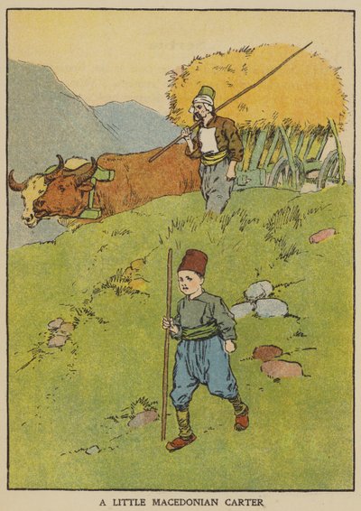 Mały macedoński furman (kolor lito) autorstwa English School