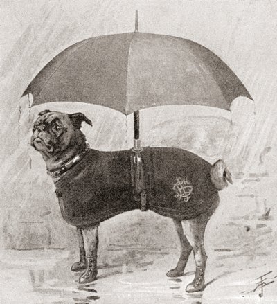 Um pug usando botas, casaco e guarda-chuva para protegê-lo da chuva autorstwa English School