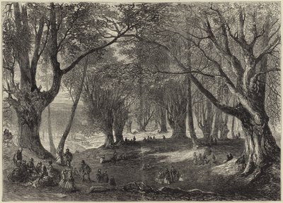 Widok w Epping Forest autorstwa English School