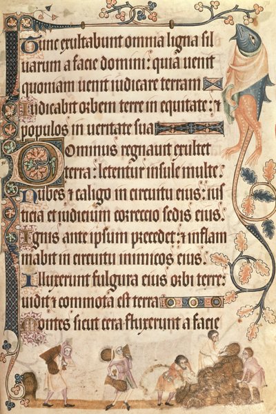 Dodaj 42130 f.173 Układanie snopów kukurydzy z psałterza Luttrell, rozpoczęte przed 1340 dla Sir Geoffreya Luttrella (1276-1345) (welum) autorstwa English School