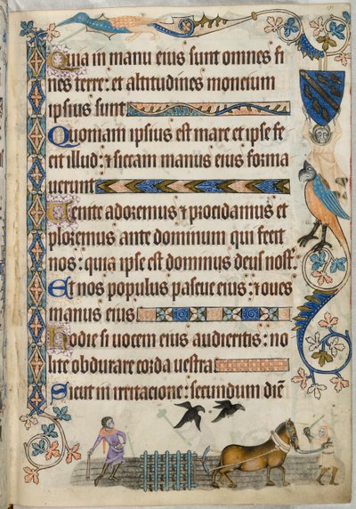 Dodać. 42130 fol.171 Bronowanie, z Psałterza Luttrella, ok. 1325-35 (welum) autorstwa English School